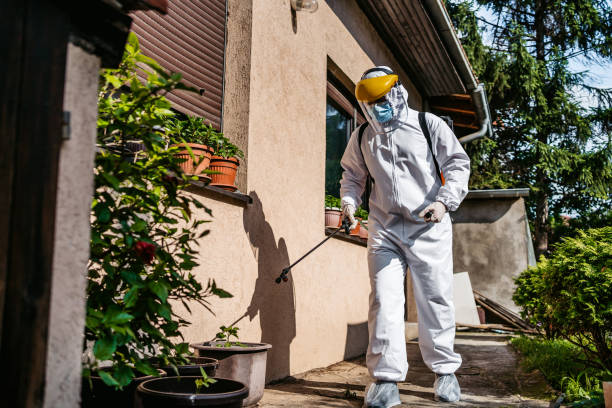 Best Mosquito Control Services  in Chester, IL