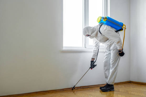 Professional Pest Control in Chester, IL