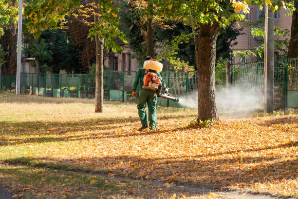 Bird Control in Chester, IL